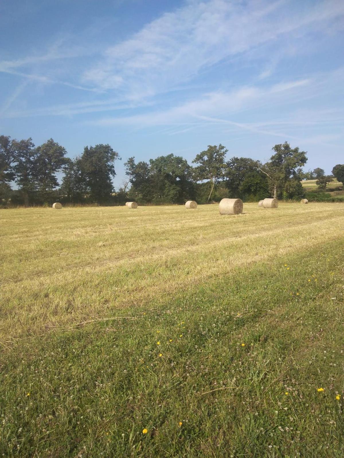 Gite Les Genets Le Vigeant Esterno foto